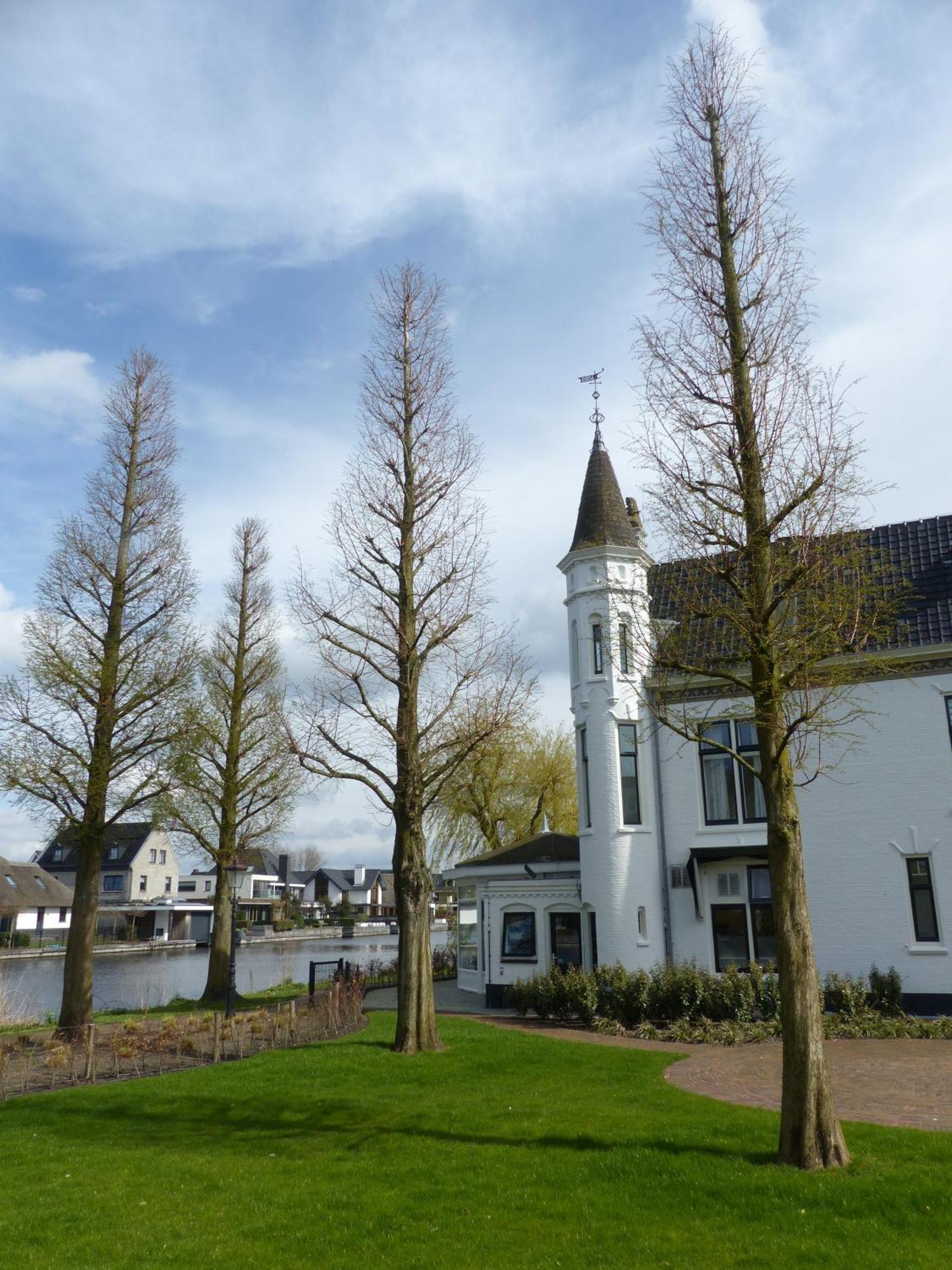 Herberg Welgelegen Katwijk aan Zee Esterno foto
